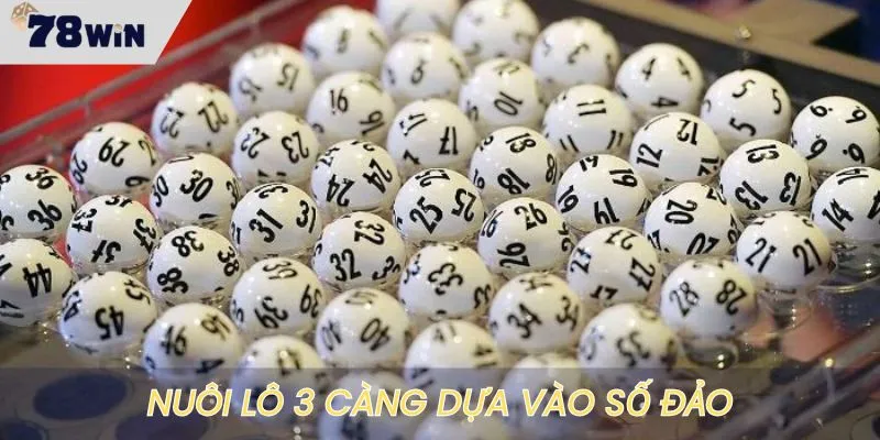 Nuôi lô 3 càng dựa vào số đảo dễ trúng